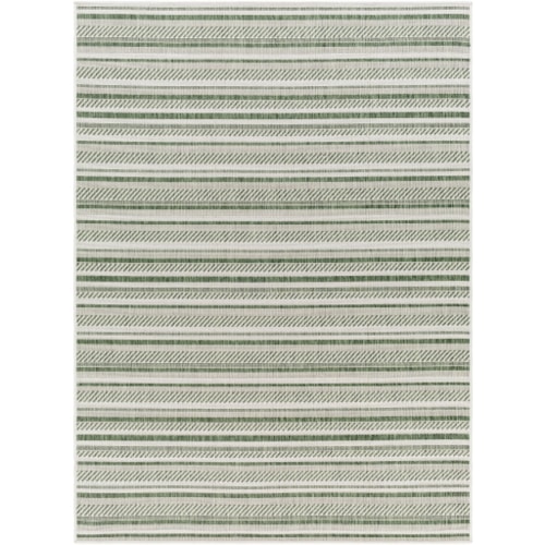 Machine Woven Rug