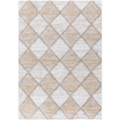 Machine Woven Rug