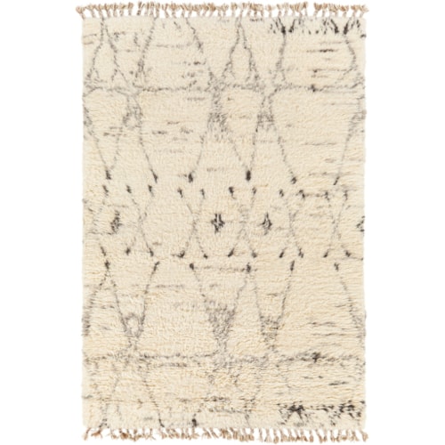 2' x 3' Rug