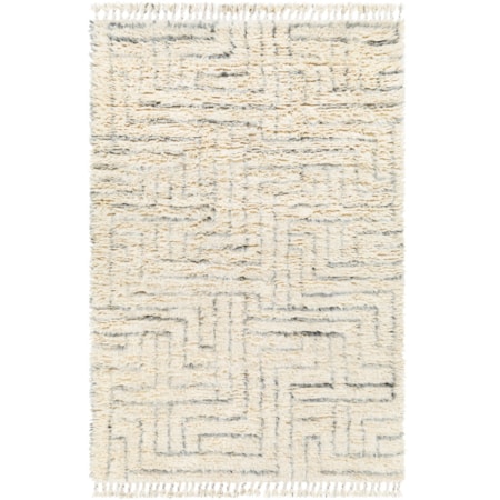 2' x 3' Rug