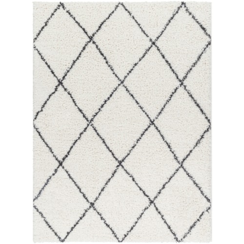 Machine Woven Rug