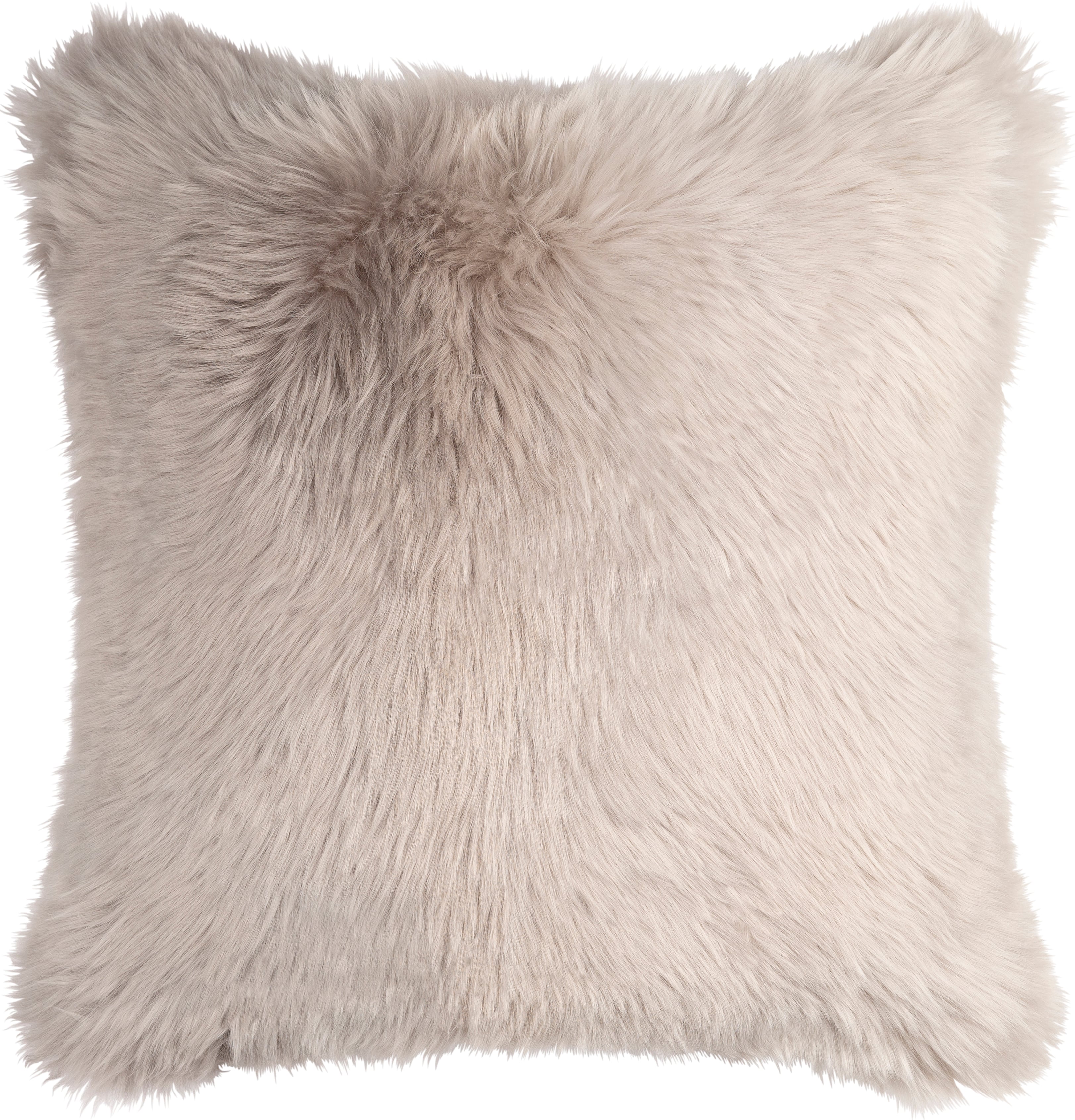 Collection Thumbnail