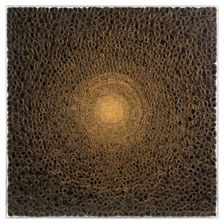 Tony Fey's Cosmic Radiance