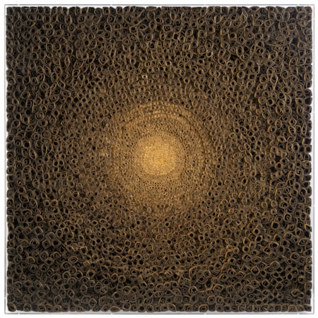 Tony Fey's Cosmic Radiance