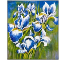 Shi Fei's Twilight Irises
