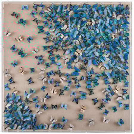 Tony Fey's Flight of the Butterflies
