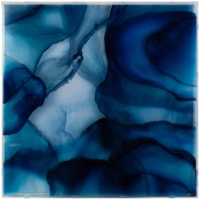 Tony Fey's Beyond the Blue Veil