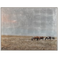 Freedom on the Range