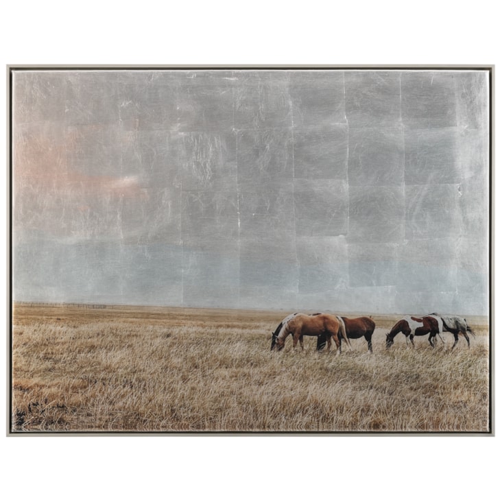 John-Richard Mirrors & Wall Decor Freedom on the Range