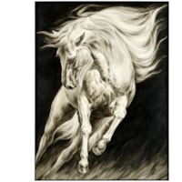 LM Zhou's Surging Equine