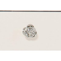 Rose Knobs in Polished Nickel Finish