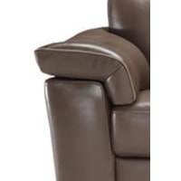 Sloped Pillow Top Arms