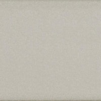 Metallic Silver Hued Finish