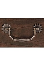 Iron Bail Hardware