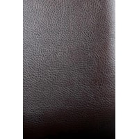 Dark Brown Leather Upholstery