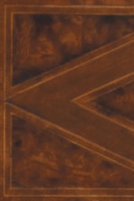 A Harmonious Blend of Cherry, Walnut, and Maple Veneers Help Showcase the Textural Appeal of Golden Madrone Burl