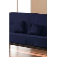 2 Matching Accent Pillows