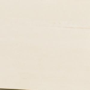 Antiqued White Finish