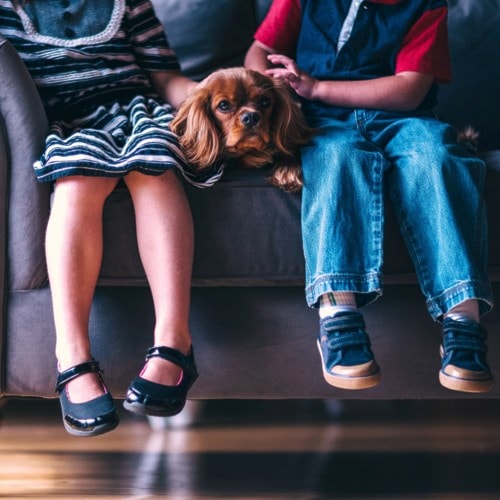 Two children sitting on a couch with a dog.