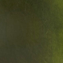 Cole Green Leather COE Green