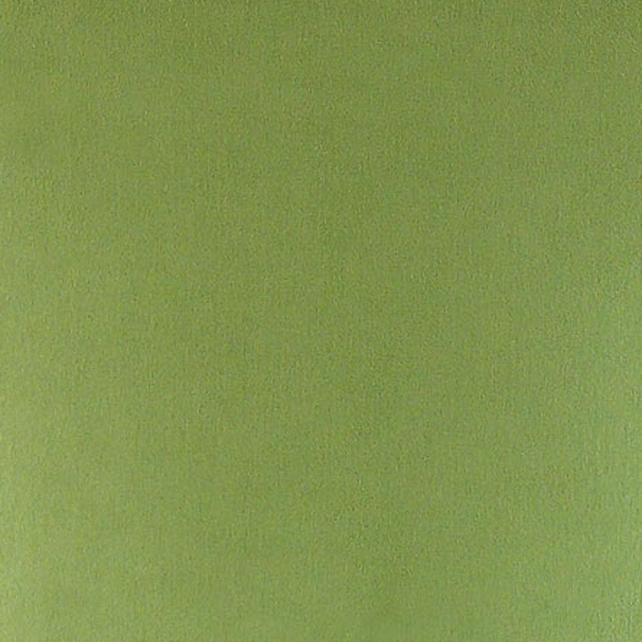 Feliz Green Fabric FLZ Green