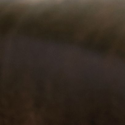 Dark Brown Leather 1510-Brown Leather