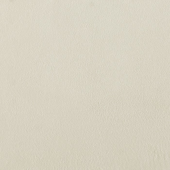 Cream Leather 209-000