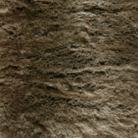 detail image