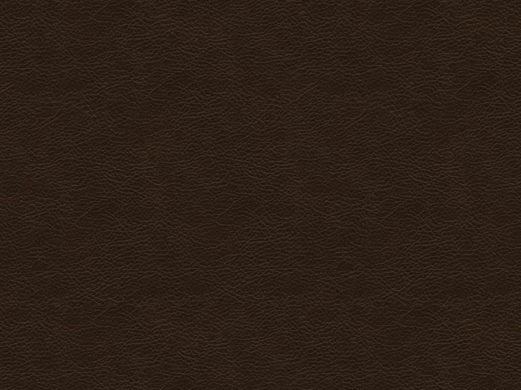 Pushback Recliners (leather) by Best Home Furnishings Rife's Home