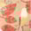 color swatch