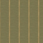 Bellevue Olive
