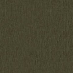 Cycle Olive