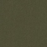 Diver Gray