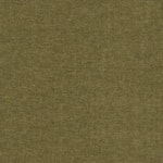 Maine Olive