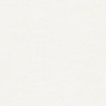 Topsider White