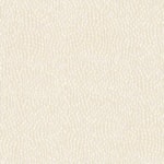 Whimsical Cream