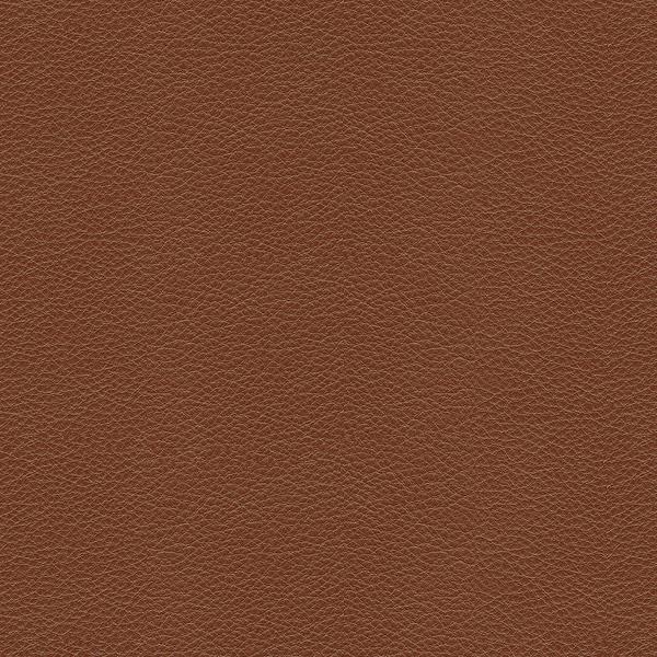 Salvador Desert Sand