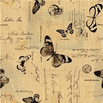 Mariposa Parchment