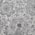 Gray Floral