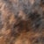 Dark Brown HOH DB088