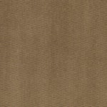 Kenton Camel