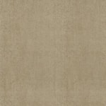 Seasons Khaki