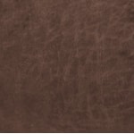 Sun Dance Sable iClean Performance Fabric