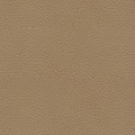 Spellbound Cobblestone