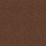 Spellbound Pecan