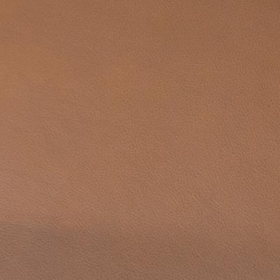 Edinburg Camel EDINCA