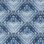 Blue Print Indoor/Outdoor Fabric