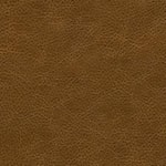 Brown Protected Leather