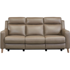 Wisteria Contemporary Reclining Sofa In Light Brown Wood Finish And Genuine Leather Sadler S Home Furnishings Reclining Sofas