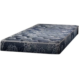 Bedtech Mount Bailey F6 F650 Queen 6 Plush Two Sided Foam Mattress Pilgrim Furniture City Mattresses
